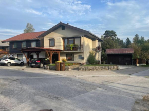 Apartma Šohen